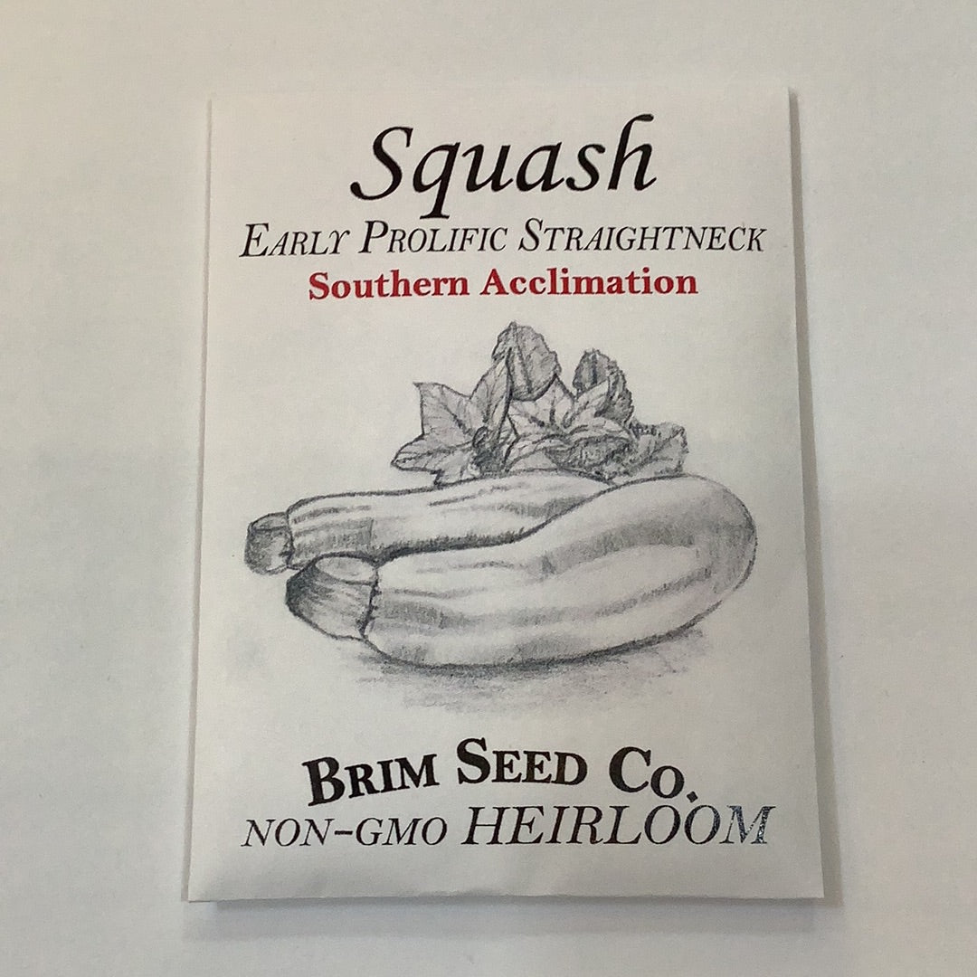 Brim Seed Co. - Southern Acclimated Early Prolific Straightneck Squash Heirloom Seed