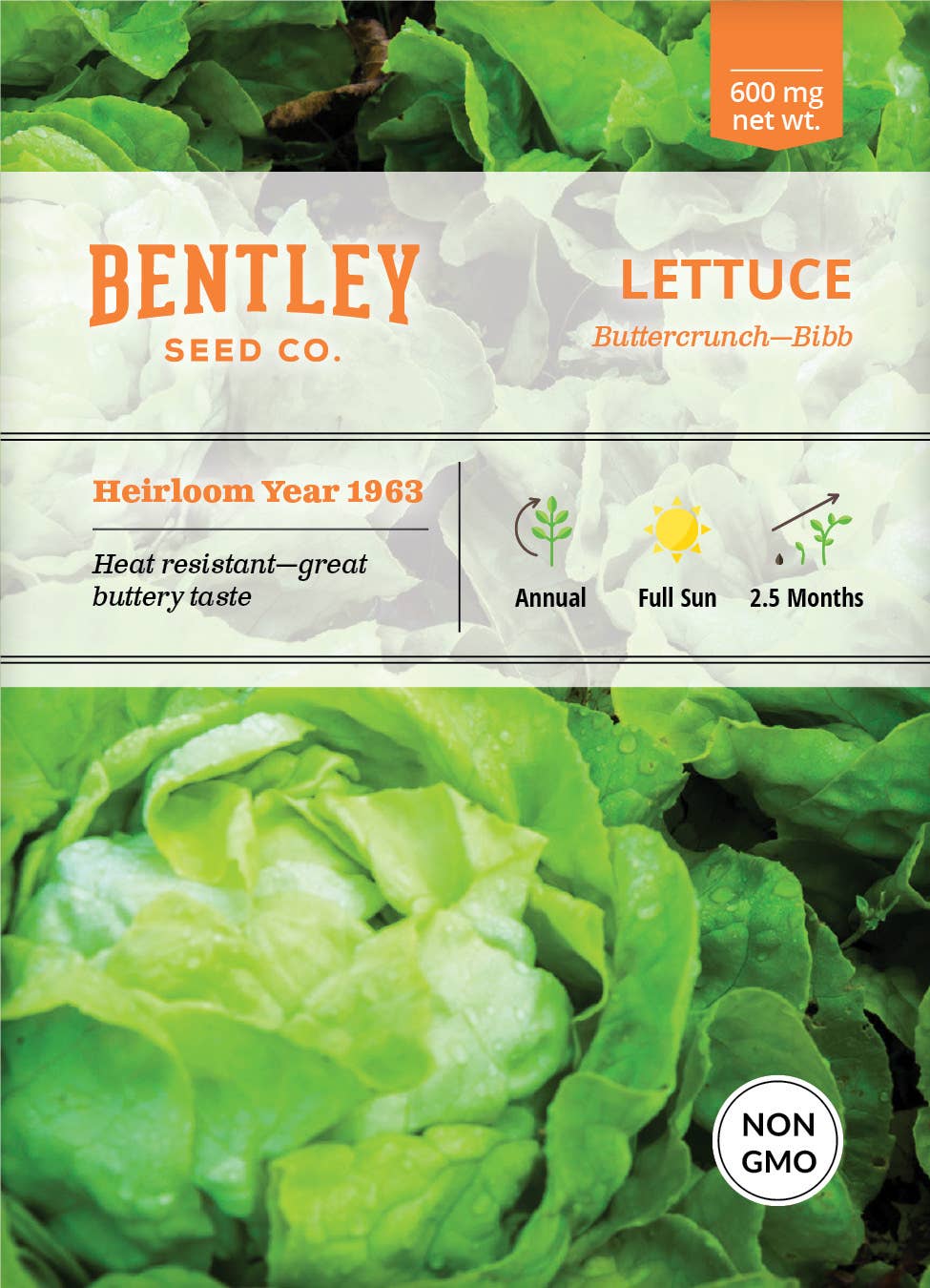 Bentley Seed Co. - Lettuce Buttercrunch