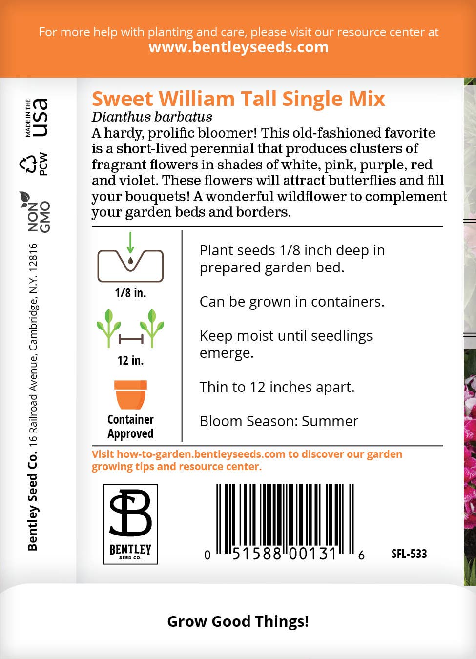 Bentley Seed Co. - Sweet William Tall Single Mix Dianthus Barbatus