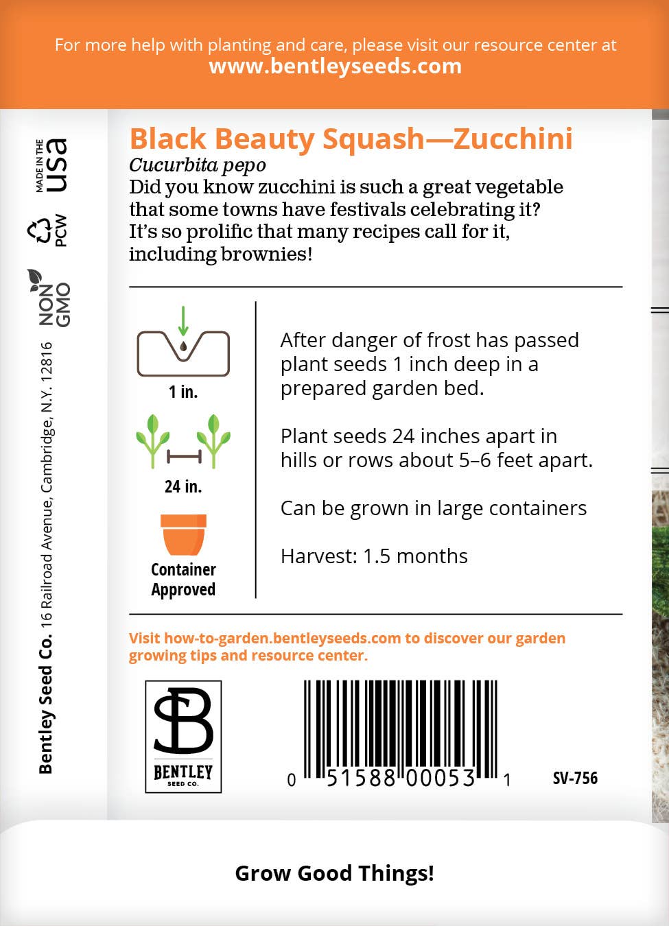 Bentley Seed Co. - Squash Zucchini Black Beauty