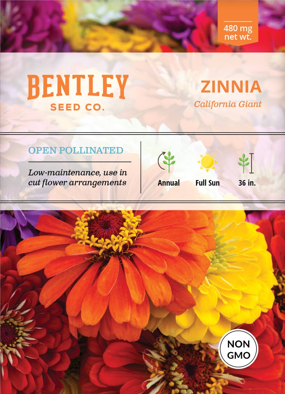 Bentley Seed Co. - Zinnia California Giant Mixed
