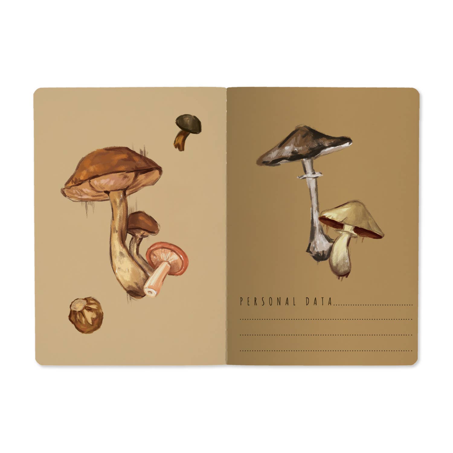 Mushrooms on White