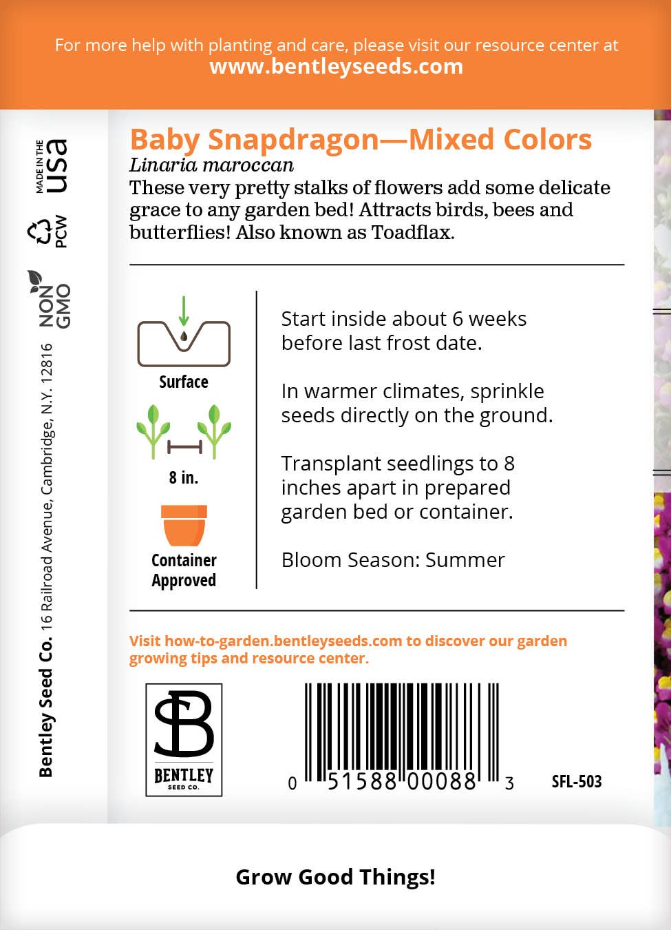 Bentley Seed Co. - Baby Snapdragon Mixed Linaria Maroccana