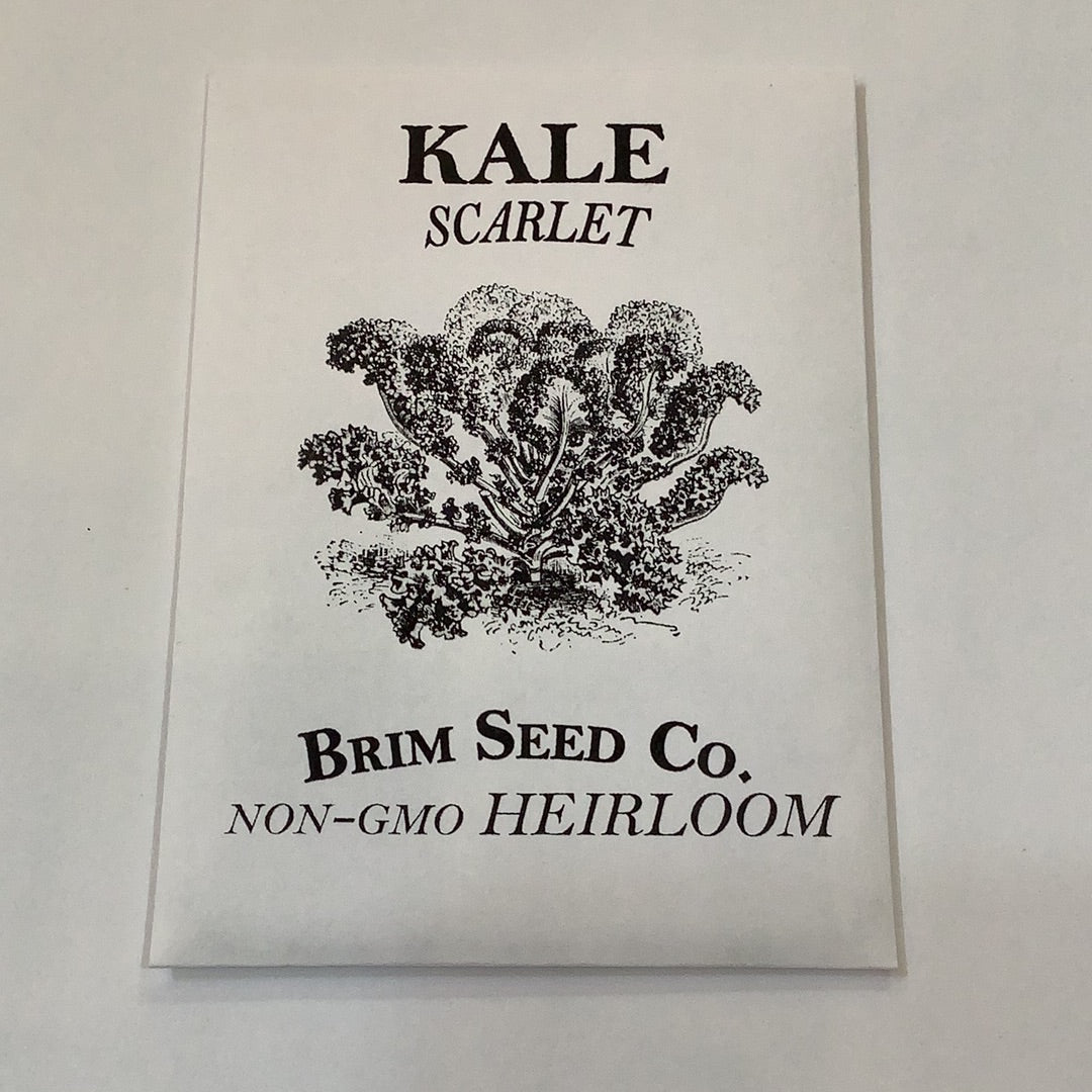 Brim Seed Co. - Scarlet Kale Heirloom Seed