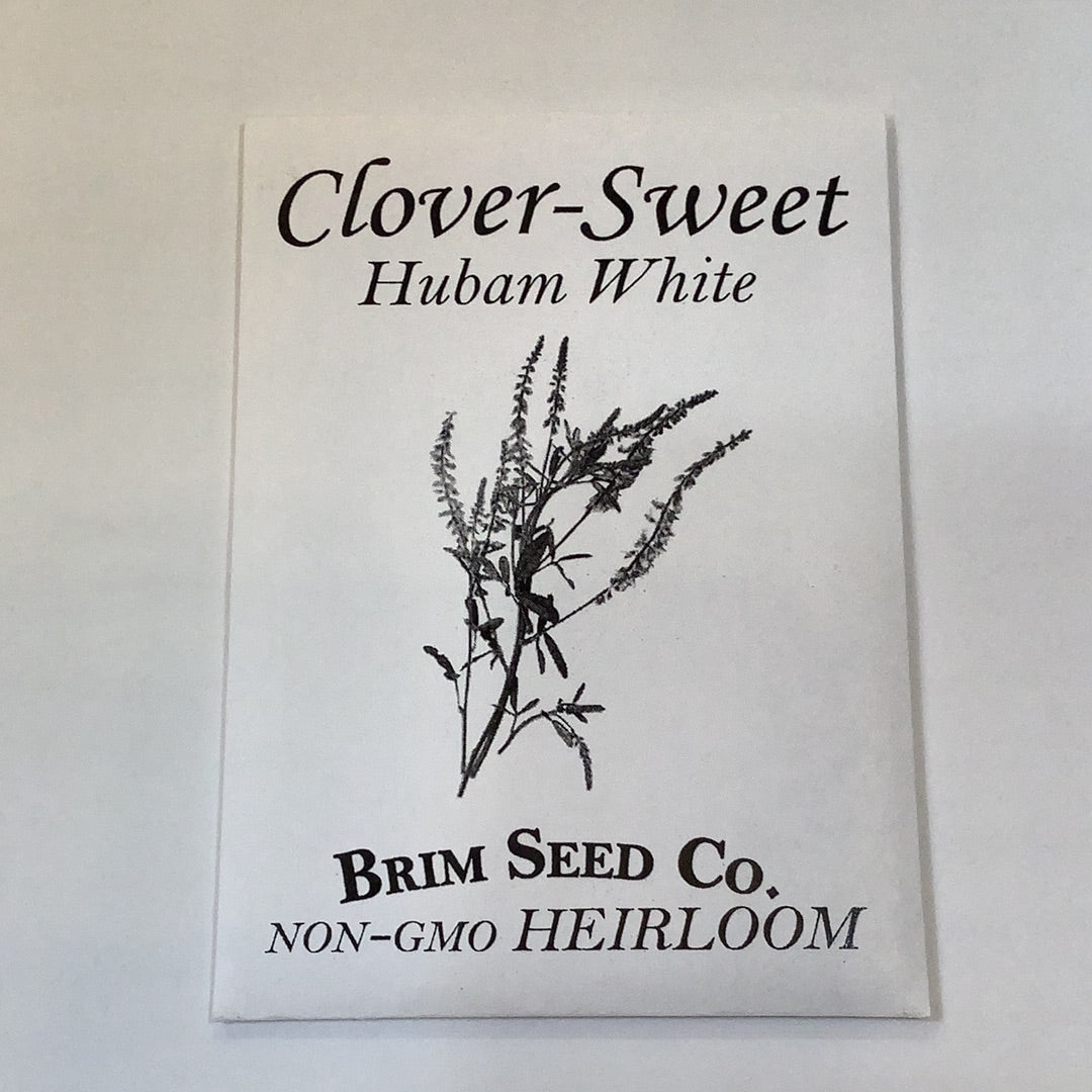 Brim Seed Co. - Hubam White Sweet Clover Flower Seed