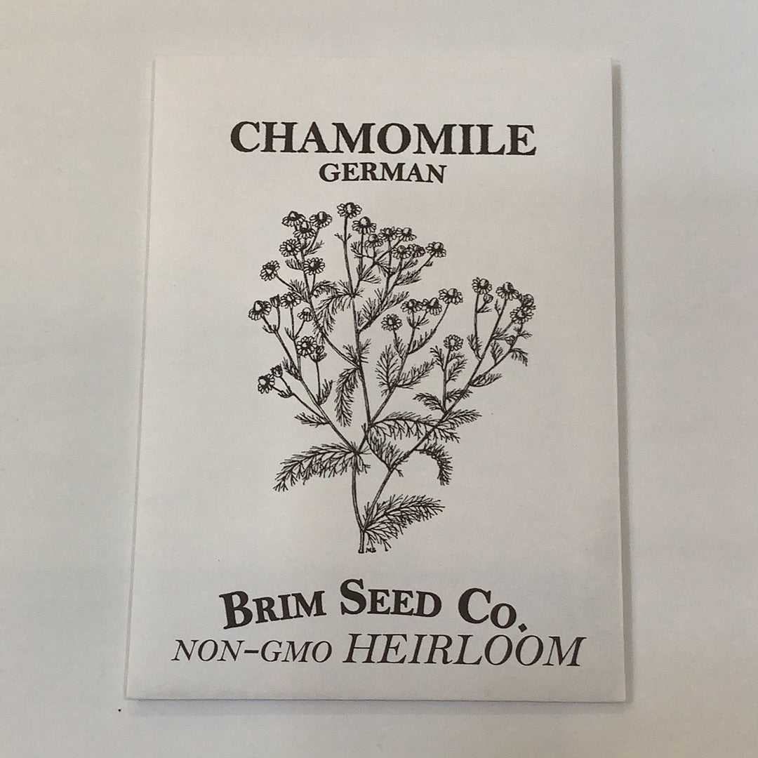 Brim Seed Co. - German Chamomile Flower Seed