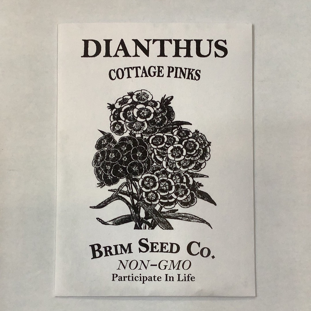 Brim Seed Co. - Cottage Pink Dianthus