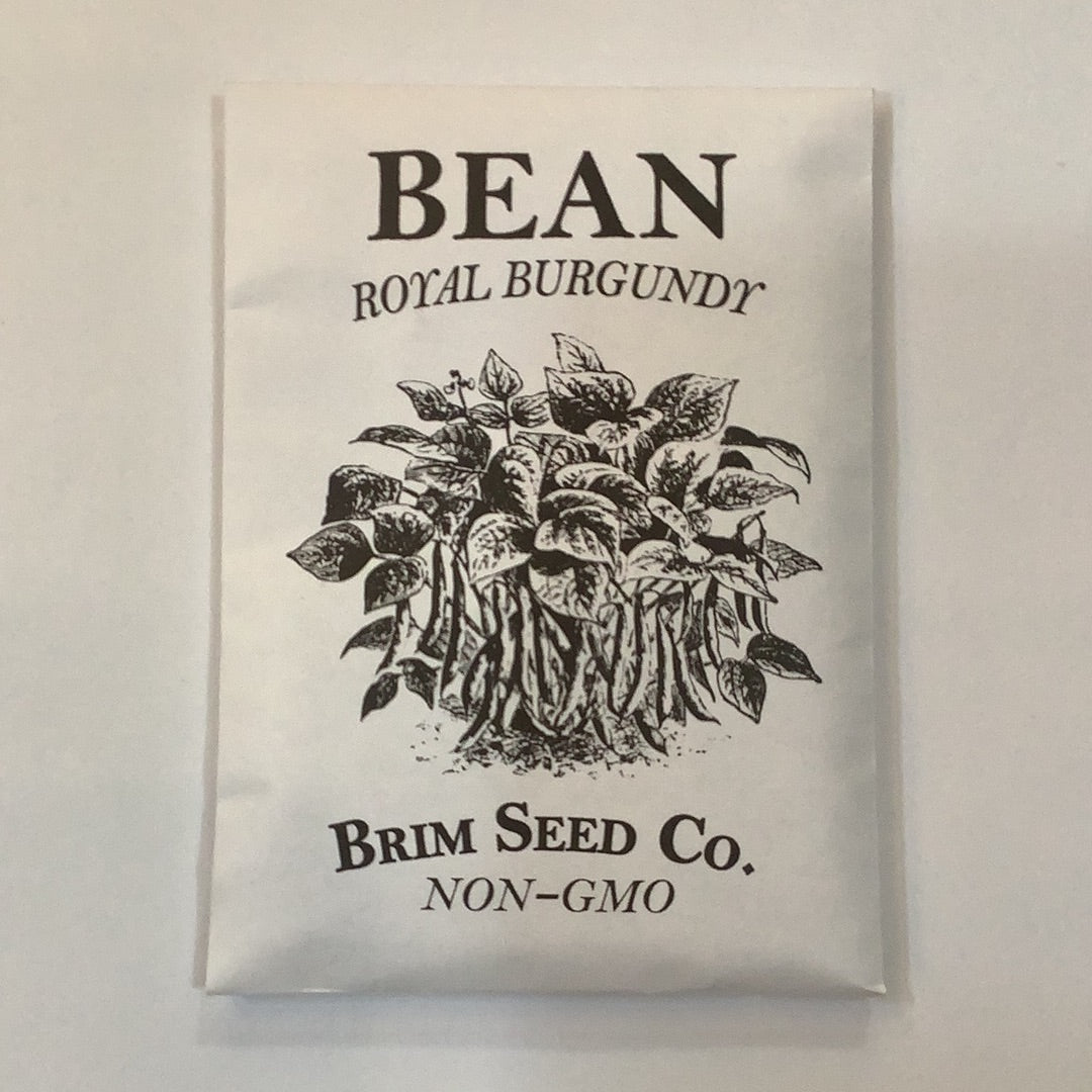 Brim Seed Co. - Royal Burgundy Bean Seed