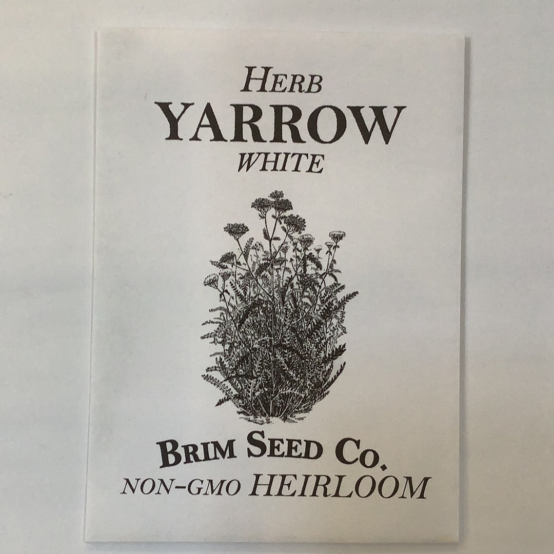 Brim Seed Co. - White Yarrow Herb Seed