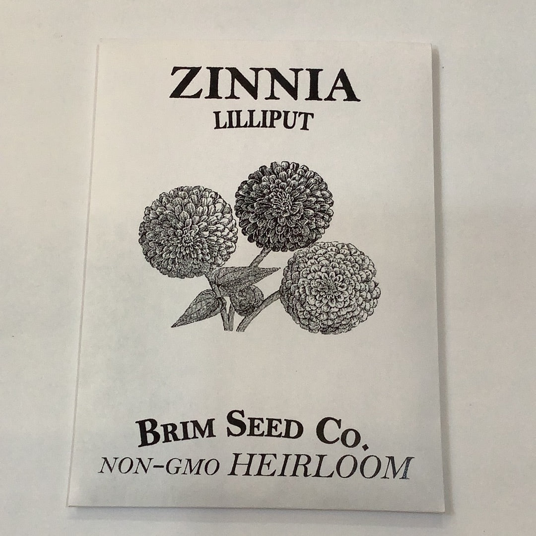 Brim Seed Co. - Lilliput Zinnia Flower Heirloom Seed