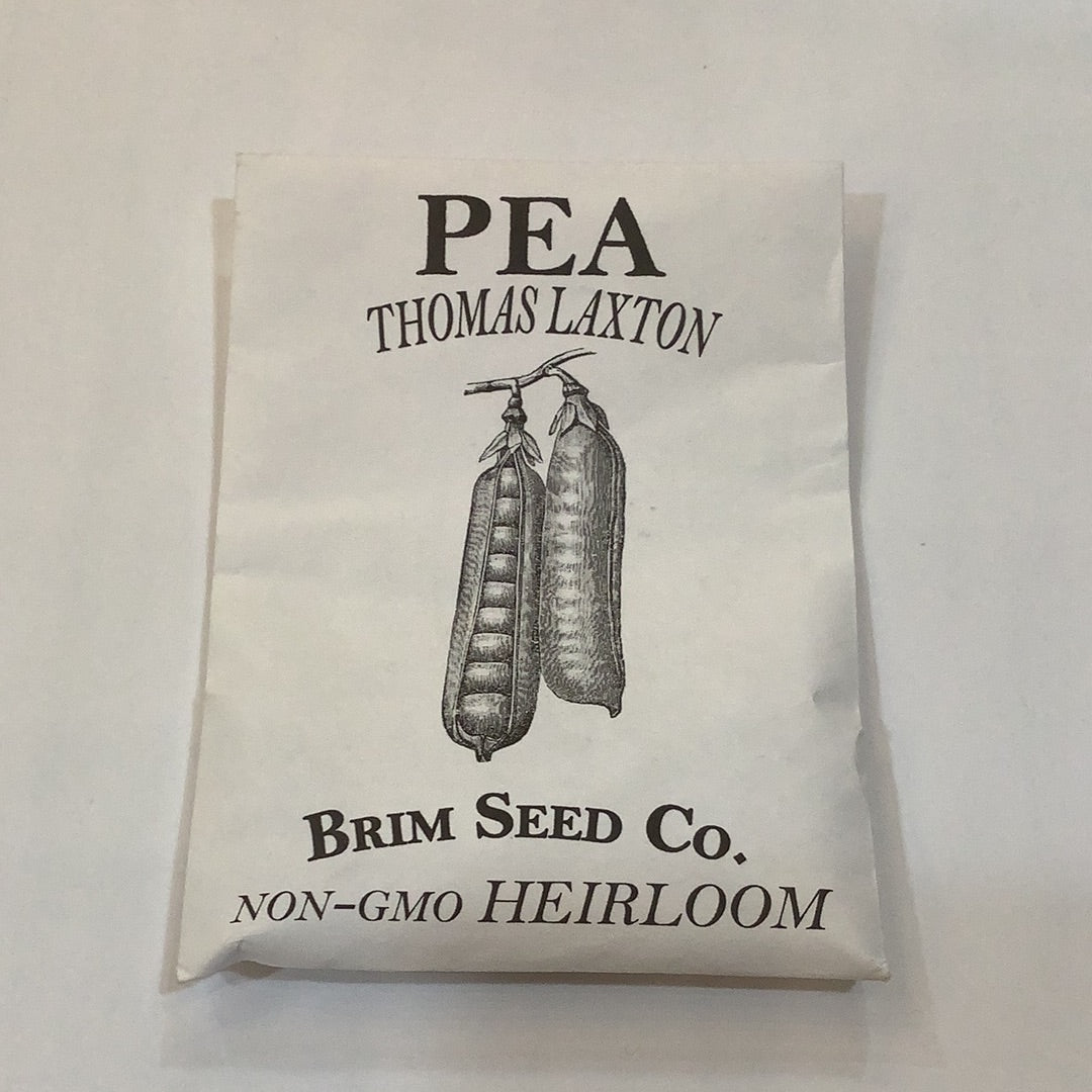 Brim Seed Co. - Thomas Laxton Garden Pea Heirloom Seed