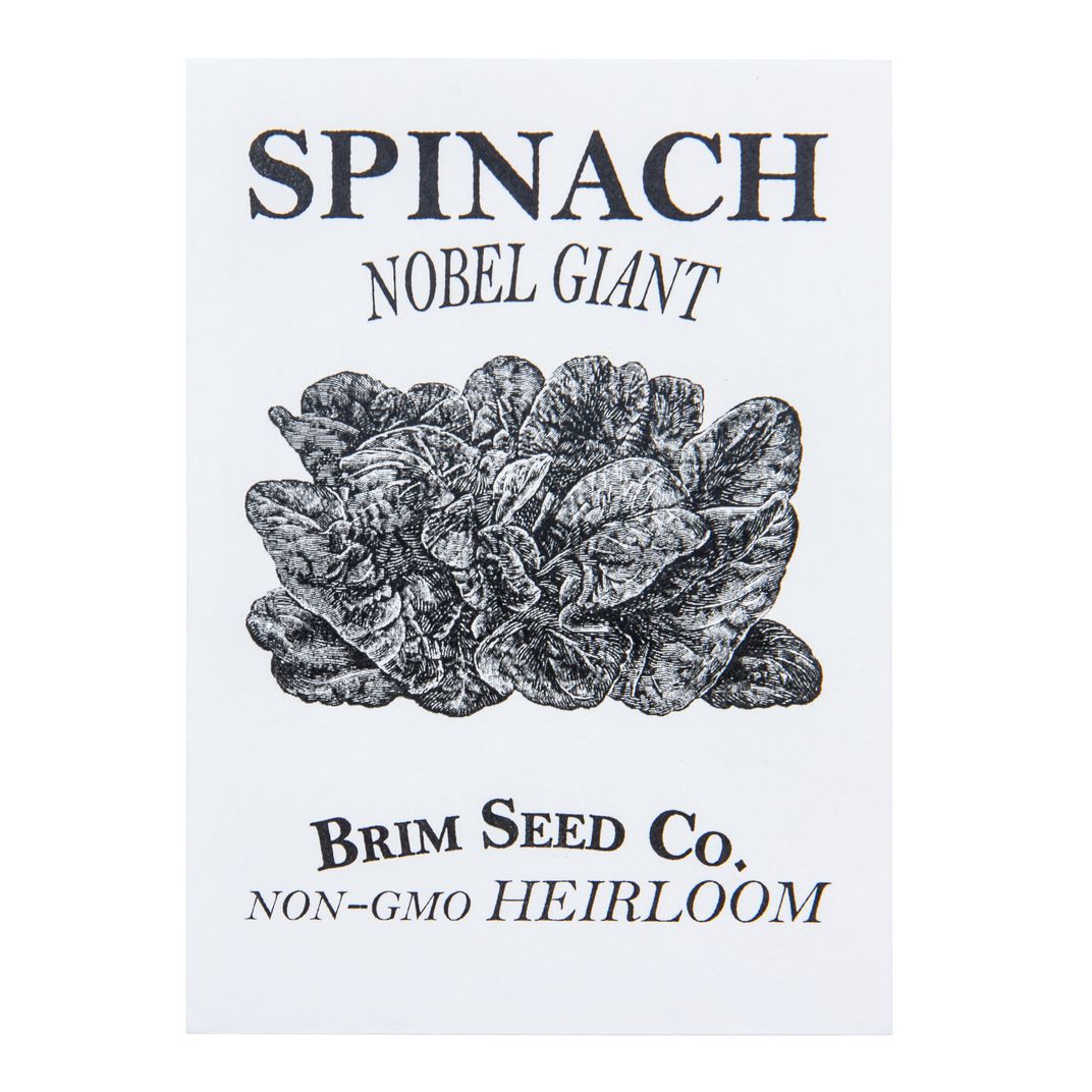 Brim Seed Co. - Noble Giant Spinach Greens Heirloom Seed