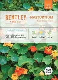 Bentley Seed Co. - Flower Seed Packets