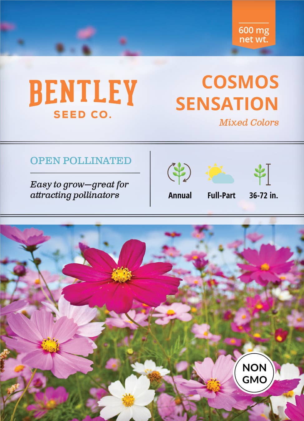 Bentley Seed Co. - Cosmos Sensation Mixed Colors-Cosmos Bipinnatus