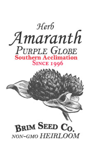 Brim Seed Co. - Southern Acclimated Purple Globe Amaranth Herb Heirloom Seed