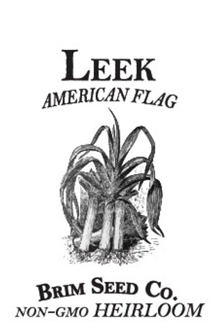 Brim Seed Co. - American Flag Leek Heirloom Seed