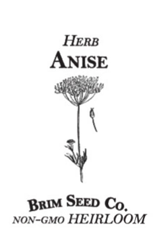 Brim Seed Co. - Anise Herb Heirloom Seed