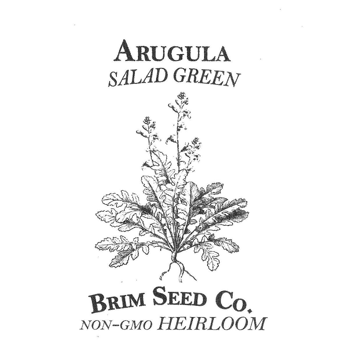 Brim Seed Co. - Arugula Salad Greens Heirloom Seed