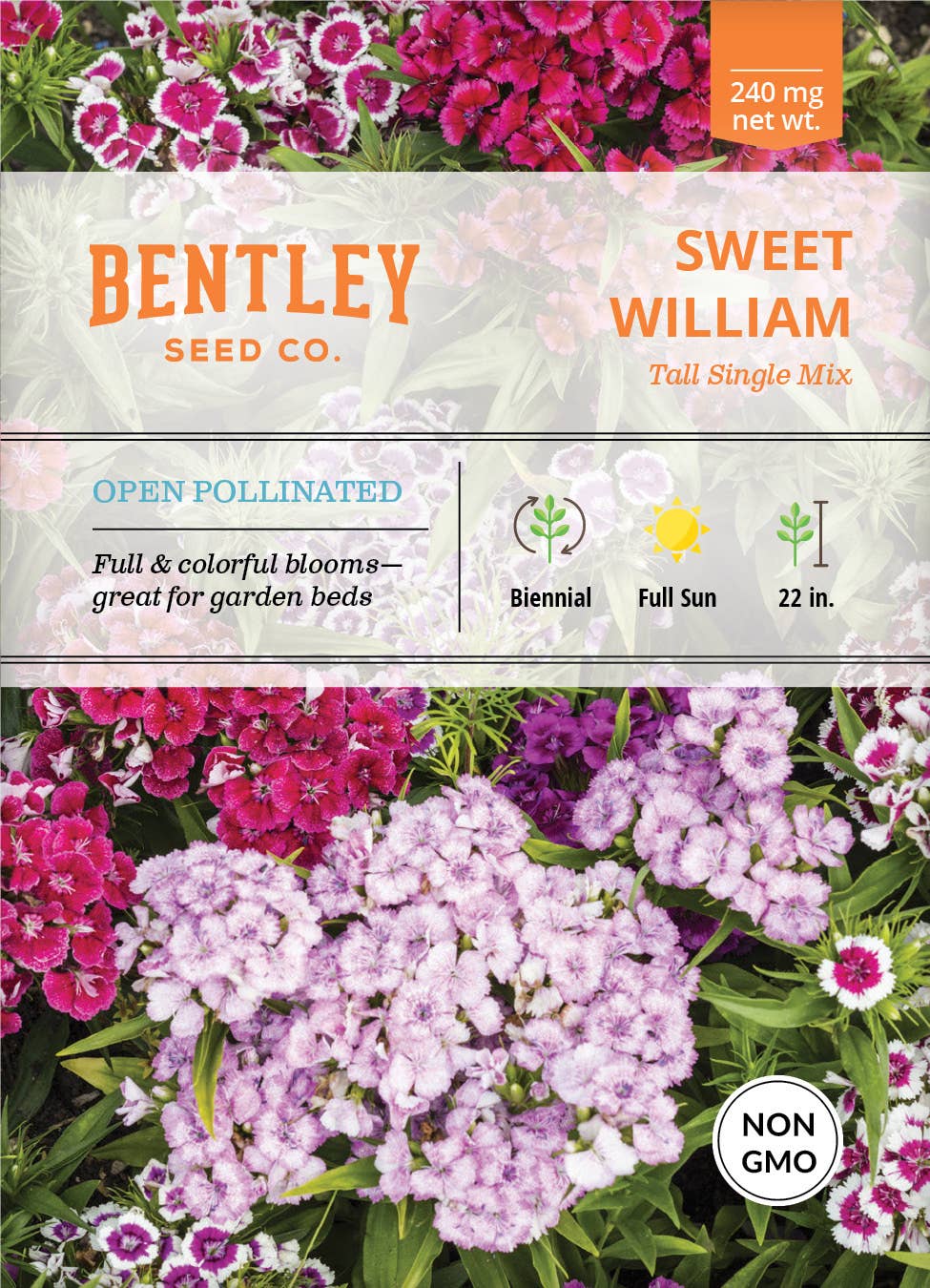 Bentley Seed Co. - Sweet William Tall Single Mix Dianthus Barbatus