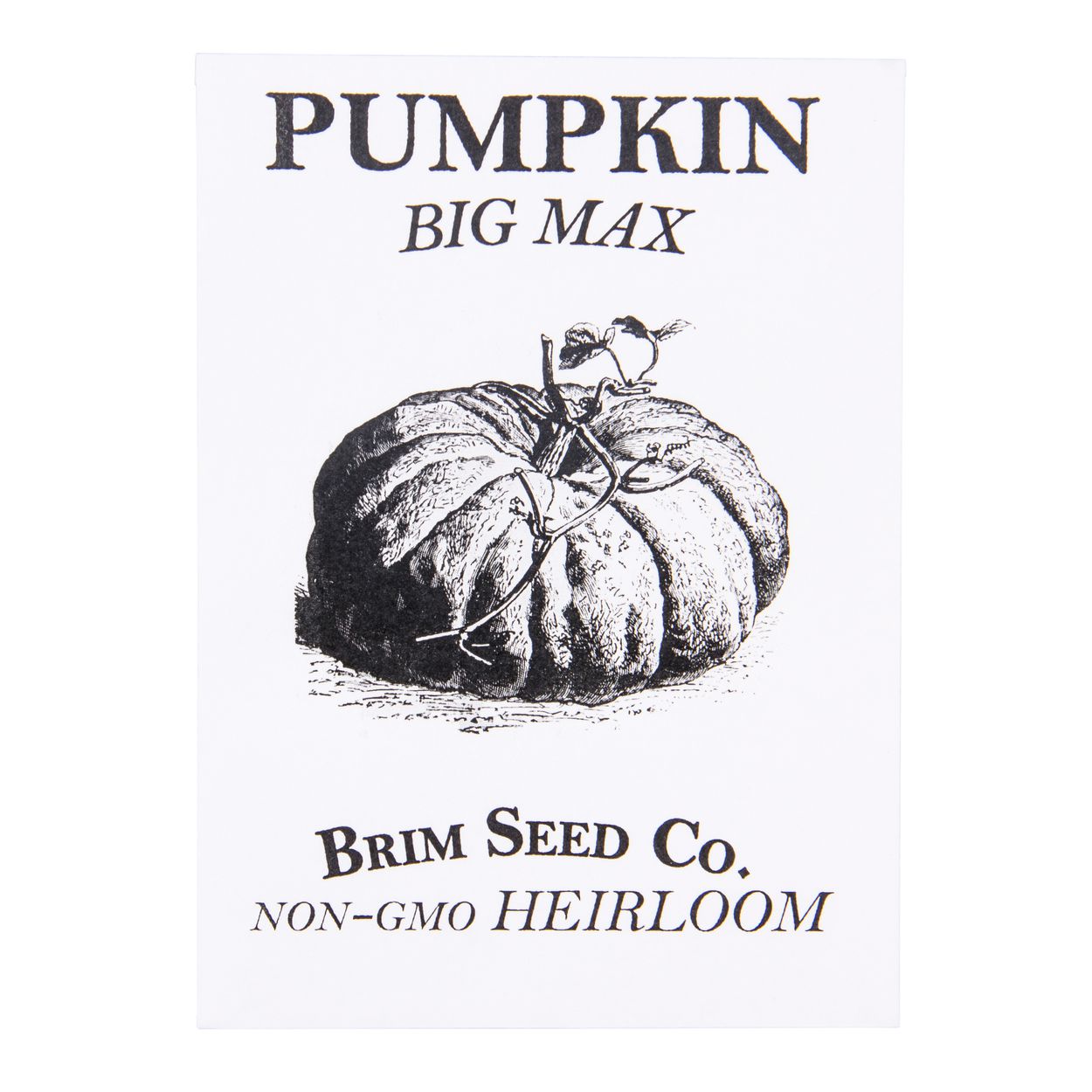 Brim Seed Co. - Big Max Pumpkin Heirloom Seed