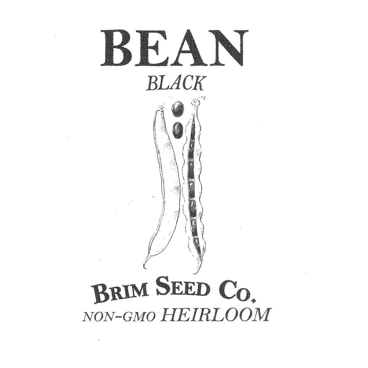 Brim Seed Co. - Black Bean Heirloom Seed