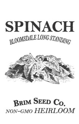 Brim Seed Co. - Bloomsdale Long Standing Spinach Greens Heirloom Seed