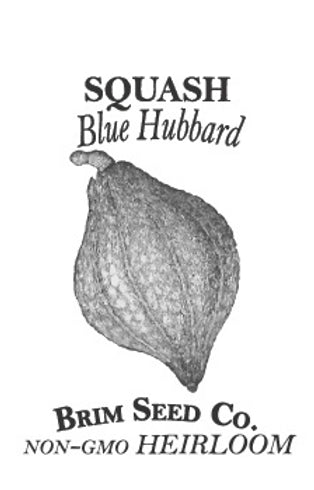 Brim Seed Co. - Blue Hubbard Squash Heirloom Seed