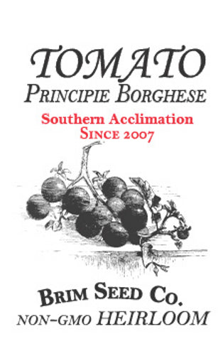 Brim Seed Co. - Southern Acclimated Principle Borghese Tomato Heirloom Seed