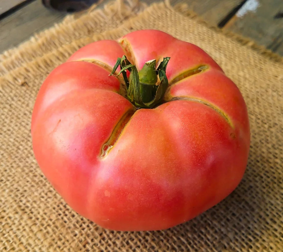 Brim Seed Co. - Brandywine Pink Tomato Heirloom Seed