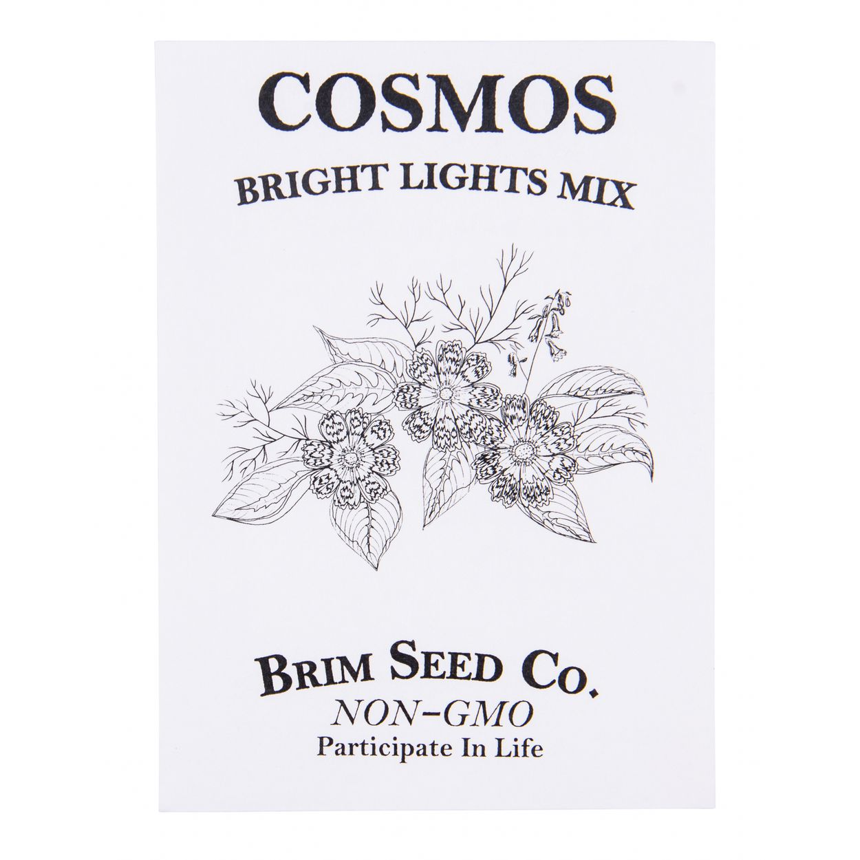 Brim Seed Co. - Bright Lights Mix Cosmos Flower Seed