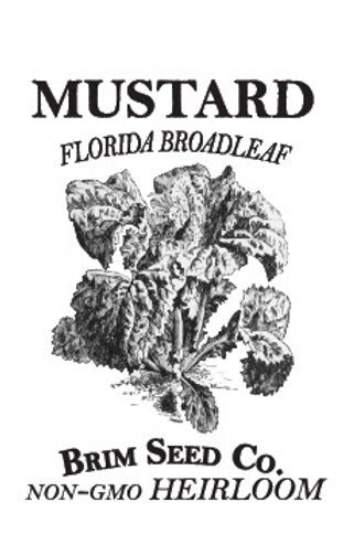 Brim Seed Co. - Florida Broadleaf Mustard Greens Heirloom Seed
