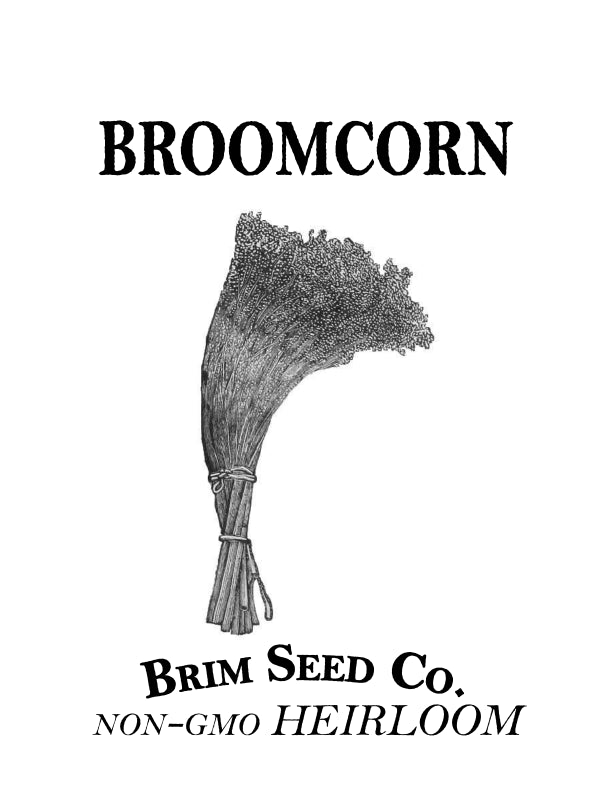Brim Seed Co. - Broomcorn Heirloom Seed