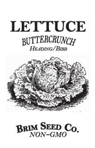 Brim Seed Co. - Buttercrunch Bibb Lettuce Greens Seed
