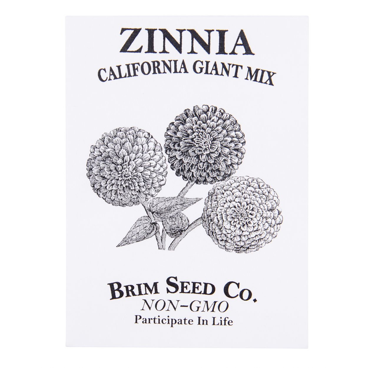 Brim Seed Co. - California Giant Mix Zinnia Flower Seed