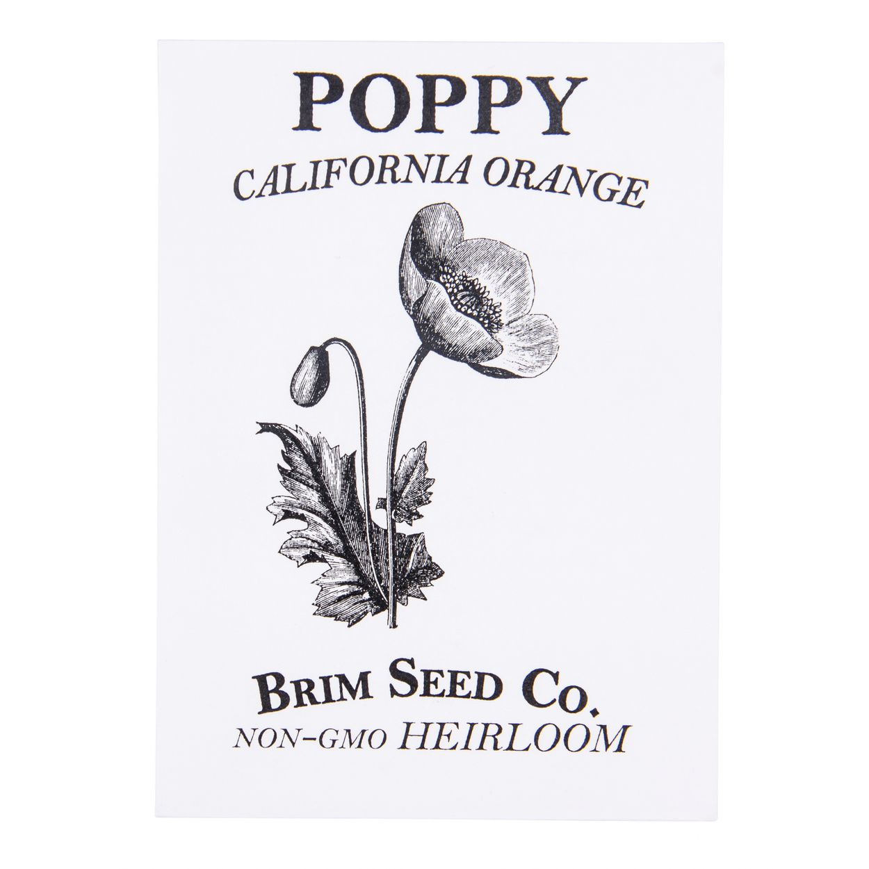 Brim Seed Co. - California Orange Poppy Flower Heirloom Seed