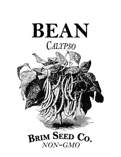 Brim Seed Co. - Calypso Bean Seed