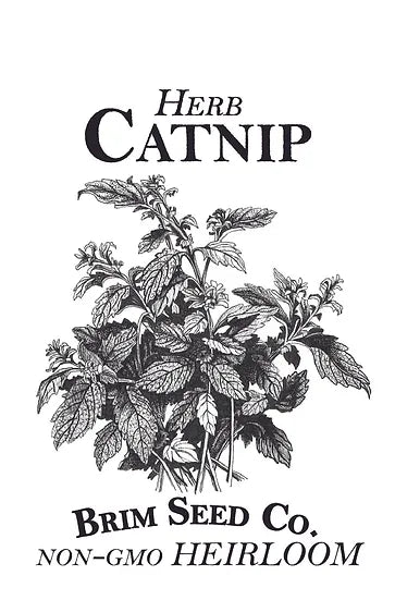 Brim Seed Co. - Catnip Herb Heirloom Seed