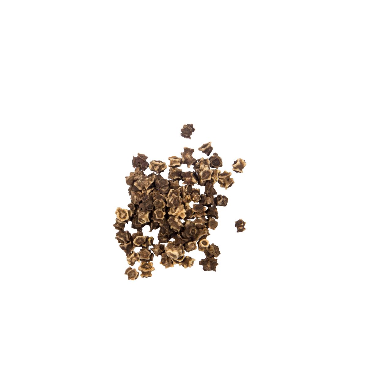 Brim Seed Co. - Fordhook Swiss Chard Heirloom Seed