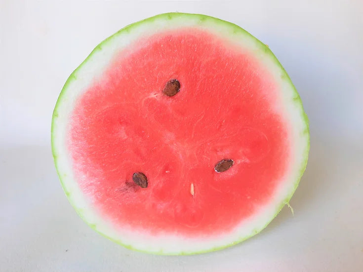 Brim Seed Co. - Charleston Grey Watermelon Seed