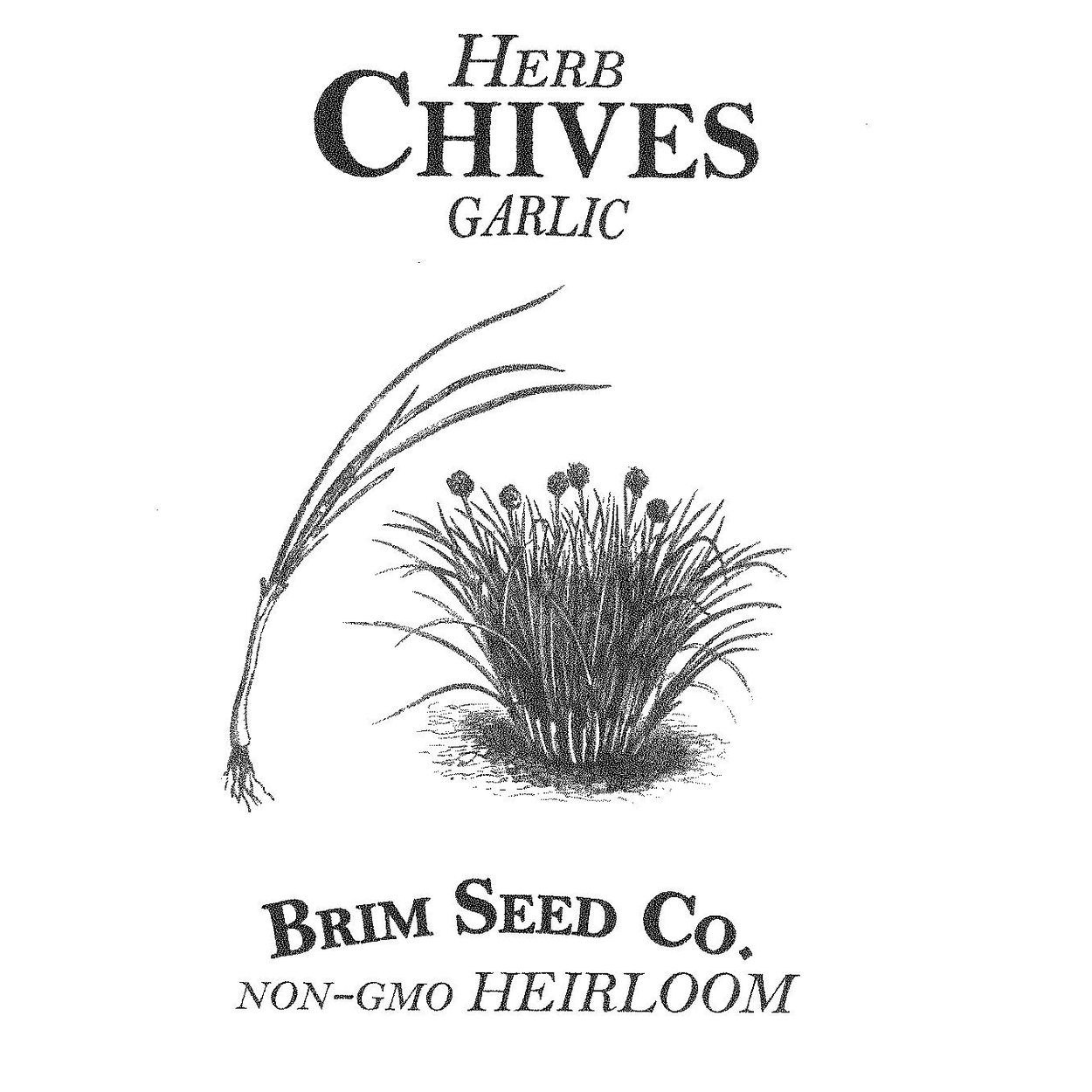 Brim Seed Co. - Garlic Chives Herb Heirloom Seed