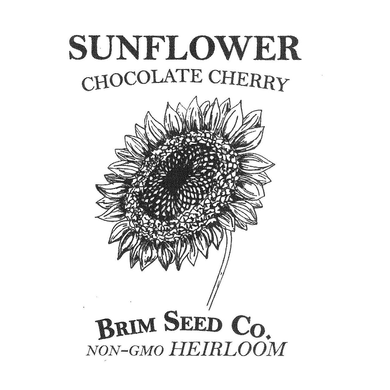Brim Seed Co. - Chocolate Cherry Sunflower Heirloom Seed