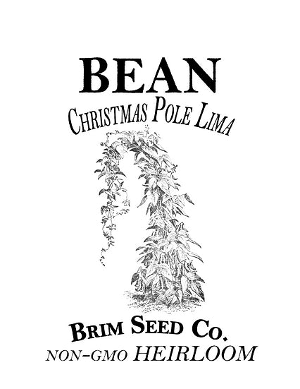 Brim Seed Co. - Christmas Pole Lima Bean Heirloom Seed