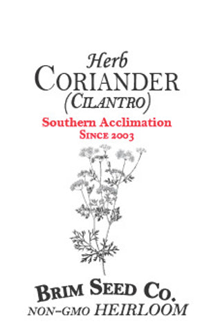 Brim Seed Co. - Southern Acclimated Coriander Cilantro Herb Heirloom Seed