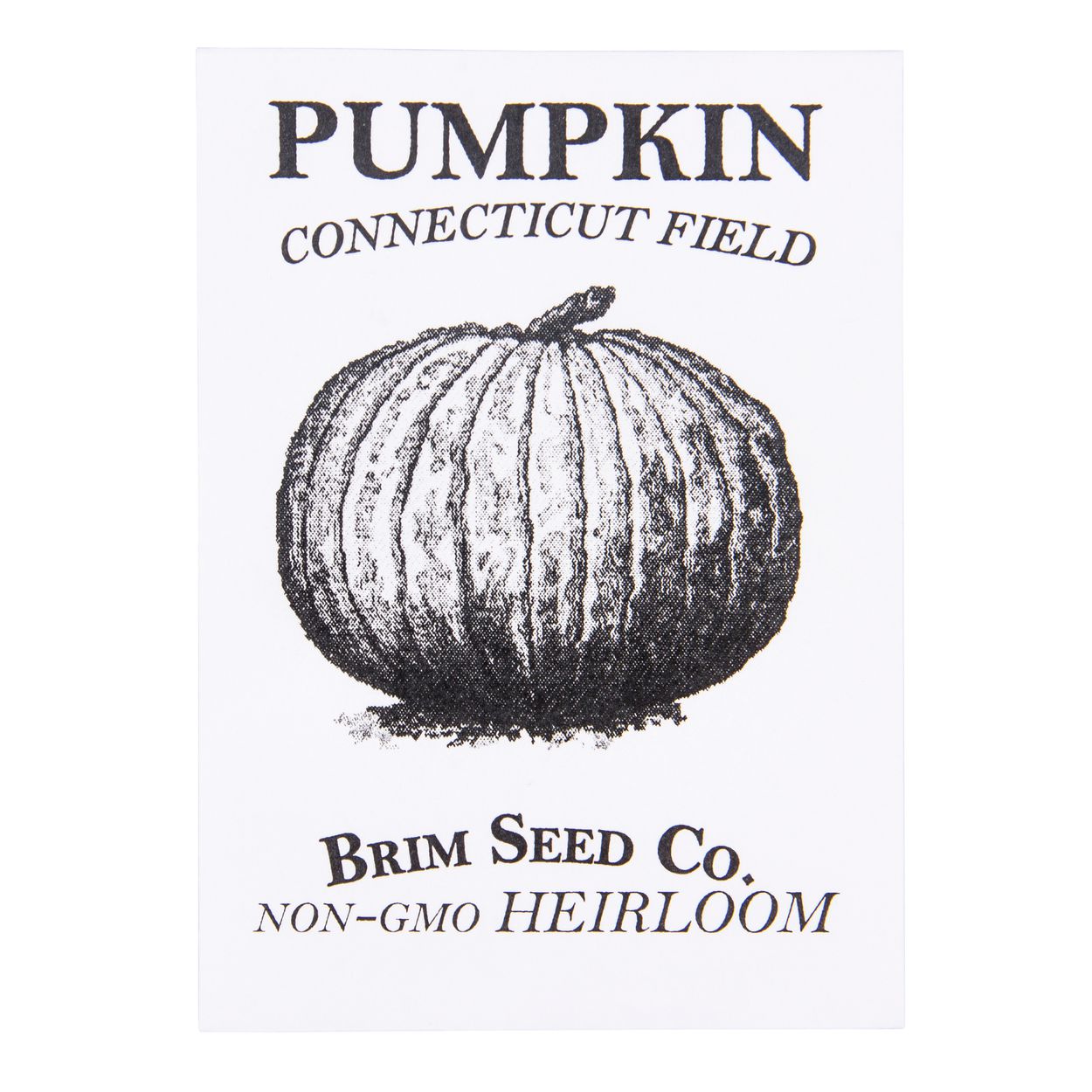 Brim Seed Co. - Connecticut Field Pumpkin Heirloom Seed