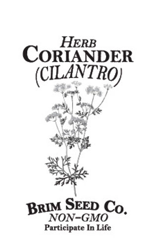 Brim Seed Co. - Coriander Cilantro Herb Seed