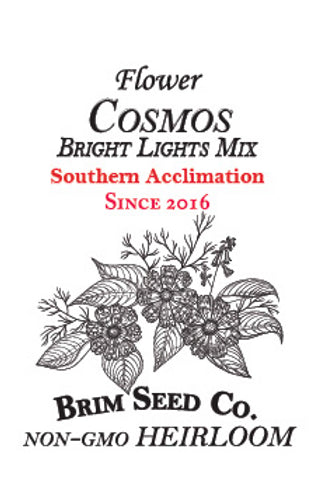 Brim Seed Co. - Southern Acclimated Bright Lights Mix Cosmos Flower Heirloom Seed