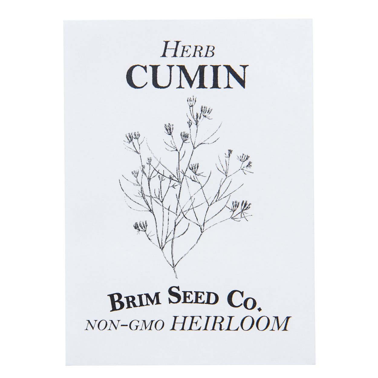 Brim Seed Co. - Cumin Herb Heirloom Seed