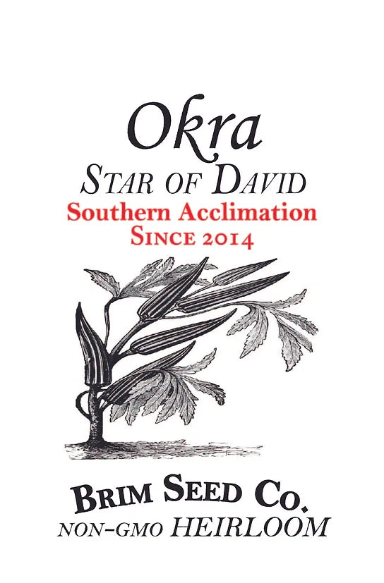 Brim Seed Co. - Southern Acclimated Star Of David Okra Heiroom Seed