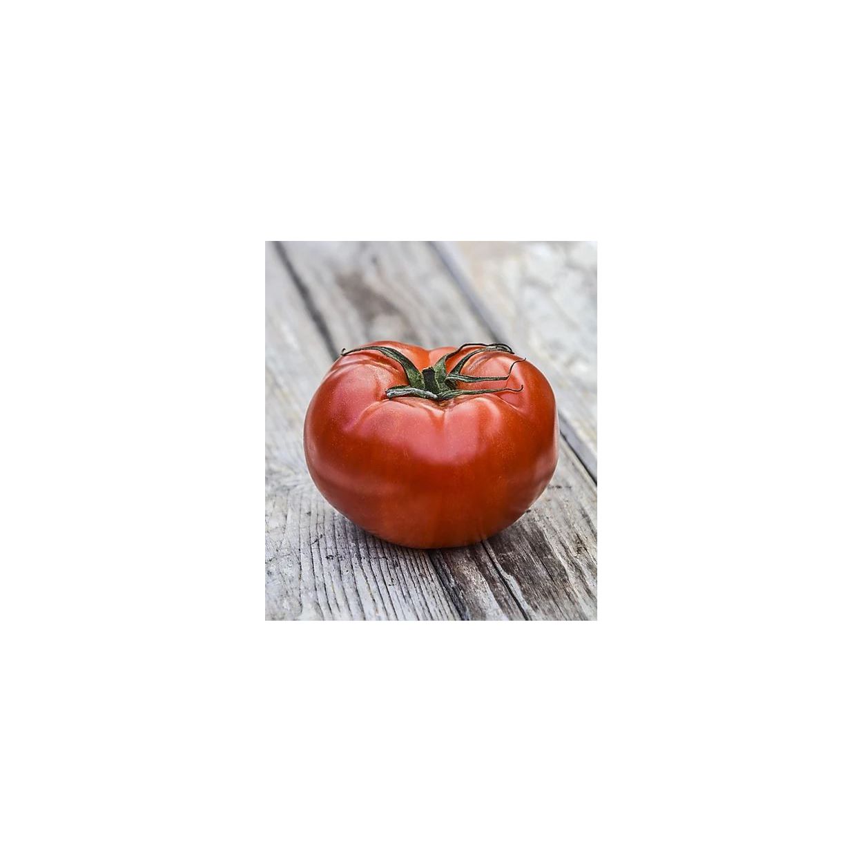 Brim Seed Co. - Delicious Tomato Heirloom Seed