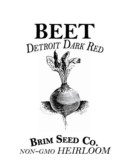 Brim Seed Co. - Detroit Dark Red Beet Heirloom Seed